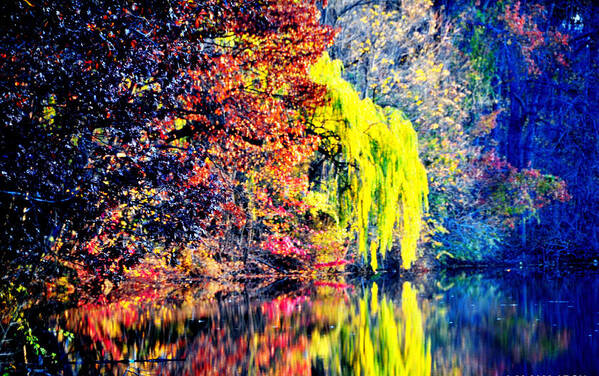  Art Print featuring the photograph Autumn colors #6 by Aron Chervin