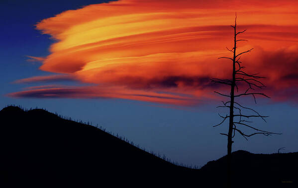 A Art Print featuring the photograph A Haunting Sunset by Brian Gustafson