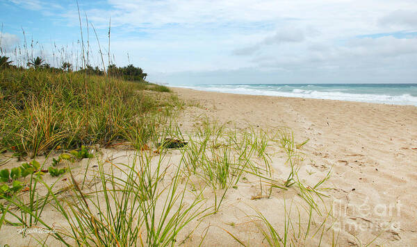 Shore Art Print featuring the photograph A Peaceful Place by the Sea by Michelle Constantine