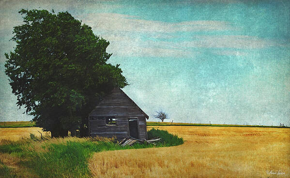 Abandoned Old Shack In Wheat Field Art Print featuring the photograph Abandoned Old Shack In Wheat Field by Anna Louise