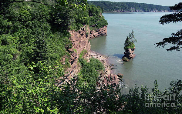 Bay Of Fundy Art Print featuring the photograph Above the Bay of Fundy by Art Cole