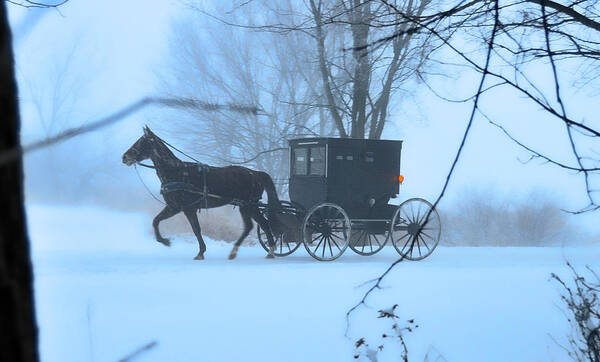 Dreamscape Art Print featuring the photograph Amish Dreamscape by David Arment
