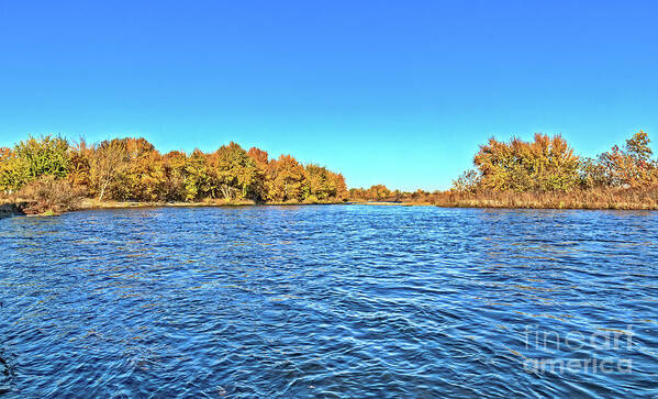 Idaho Art Print featuring the photograph Autumn Color On The Payette by Robert Bales