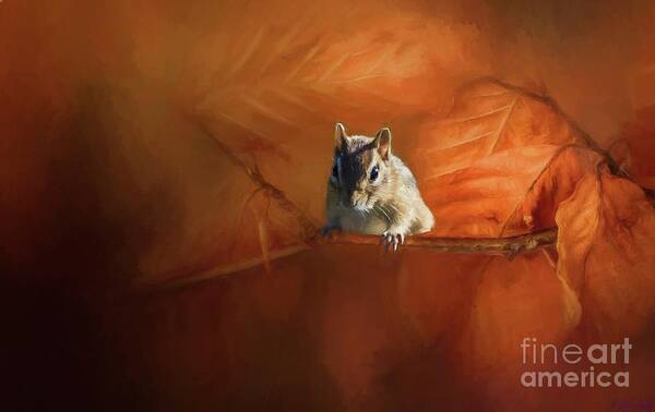 Chipmunk Art Print featuring the photograph Autumn in the Woods by Eva Lechner