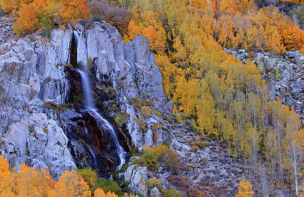 Fall Art Print featuring the photograph Autumn surrounds Mist Falls in the Eastern Sierras by Jetson Nguyen