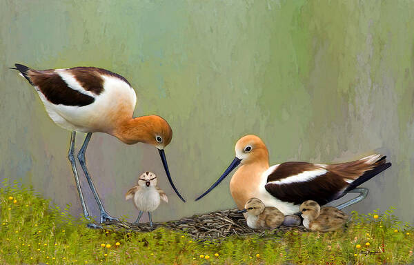 Avocet Art Print featuring the digital art Avocet Family by Thanh Thuy Nguyen