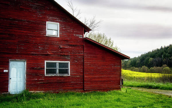 Barn Art Print featuring the photograph Barn And Wildflowers by Greg and Chrystal Mimbs