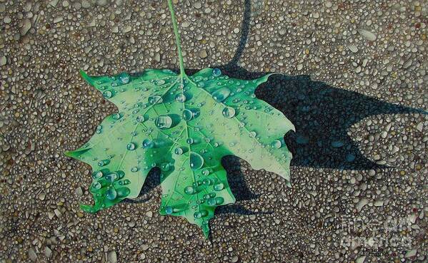 Leaf Art Print featuring the drawing Bedazzled by Pamela Clements