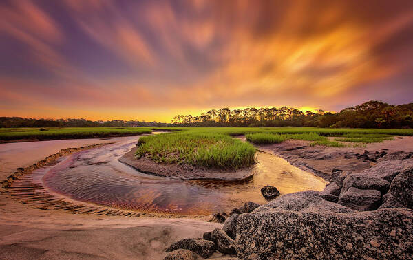 Amelia Island Art Print featuring the photograph Big Talbot Island by Peter Lakomy