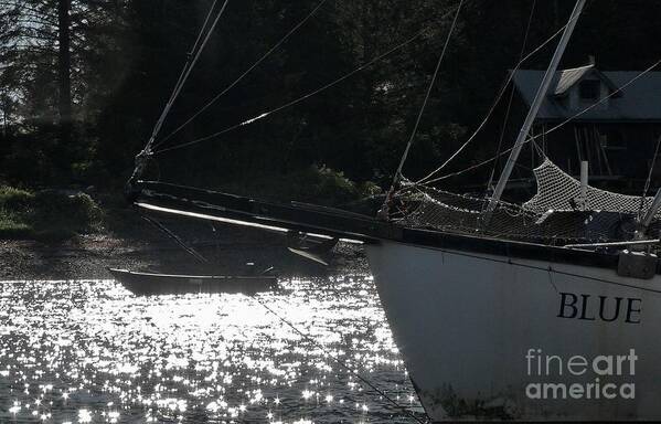 Sailboat Art Print featuring the photograph Blue by Laura Wong-Rose