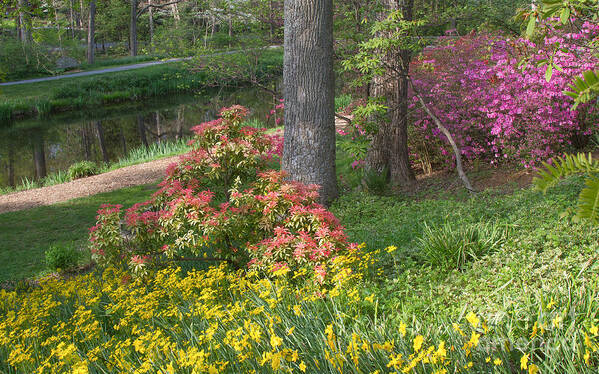 Spring Landscapes Art Print featuring the photograph Brookside Gardens 8 by Chris Scroggins