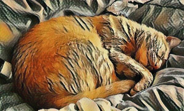 Cat Art Print featuring the mixed media Buddy the Cat Napping Art Print by Stacie Siemsen