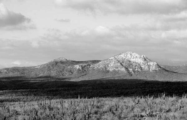 Black And White Art Print featuring the photograph Cabo San Lucas Mountain by Brian Manfra
