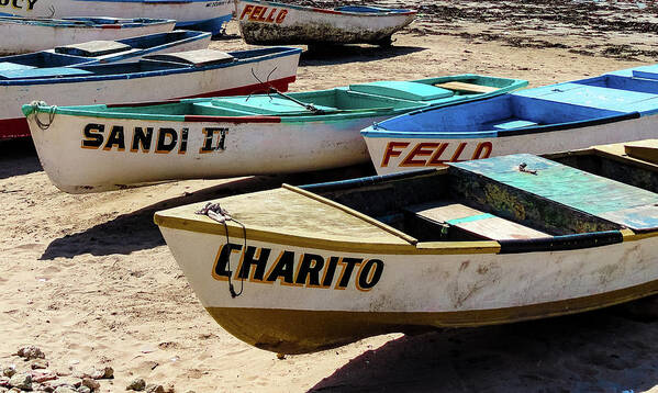 Mexico Art Print featuring the photograph Charito by Tim Dussault