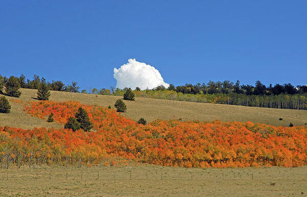 Colorado Art Print featuring the photograph Colorado Autumn 02 by Robert Meyers-Lussier