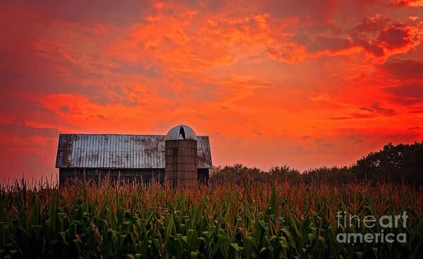 Ludington Michigan Art Print featuring the photograph Corn by Randall Cogle