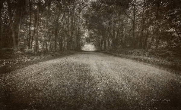 Country Art Print featuring the photograph Country Road by Everet Regal