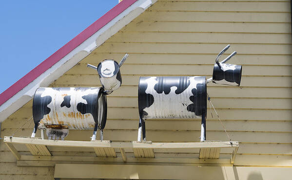 Australia Art Print featuring the photograph Cow Sculptures by Steven Ralser