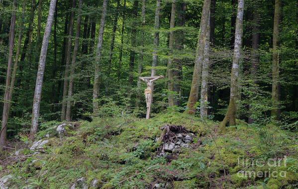 Michelle Meenawong Art Print featuring the photograph Crucifix In The Forest by Michelle Meenawong