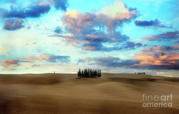 Italy Art Print featuring the photograph Cypress Trees of San Quirico d'Orcia of Tuscany by Craig J Satterlee