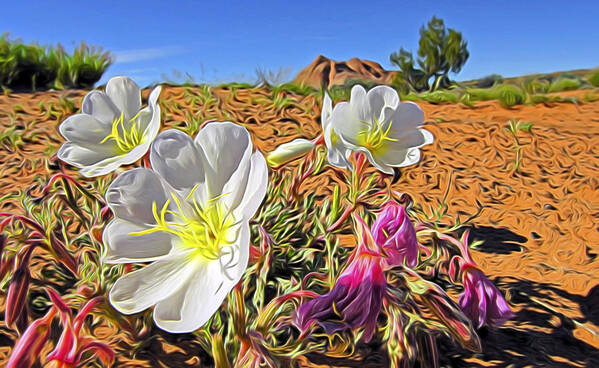 Nature Art Print featuring the digital art Desert Primrose 4 by William Horden