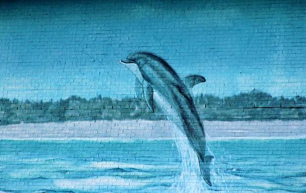 Dolphin Art Print featuring the photograph Dolphin Mural by Cynthia Guinn