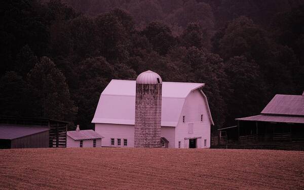 Barn Art Print featuring the photograph Down on the Farm by Eric Liller