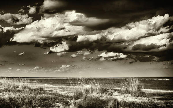 Landscape Art Print featuring the photograph Dunes by Joe Shrader
