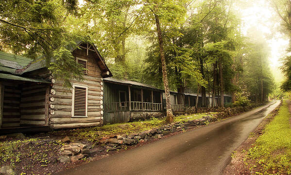 Abandoned Houses Art Print featuring the photograph Elkmont In The Smokies by Mike Eingle