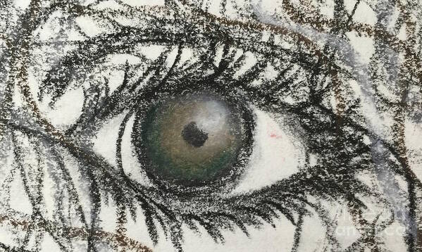 Eye Art Print featuring the drawing Eye Change With My Mood by Buffy Heslin