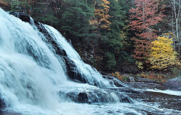 Water Art Print featuring the photograph Fall Creek Falls by George Taylor