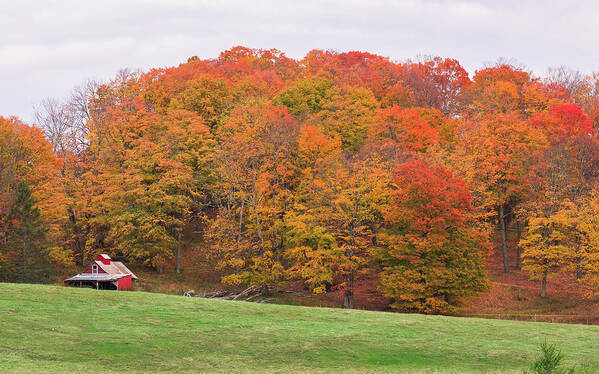  Art Print featuring the photograph Fall Sugarhouse by Tim Kirchoff