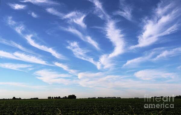 Clouds Art Print featuring the photograph Feathers in Blue Sky by Yumi Johnson