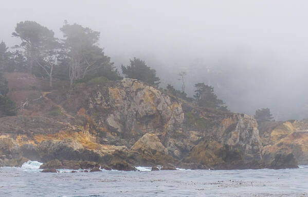 Fog Art Print featuring the photograph Foggy Day at Point Lobos by Derek Dean