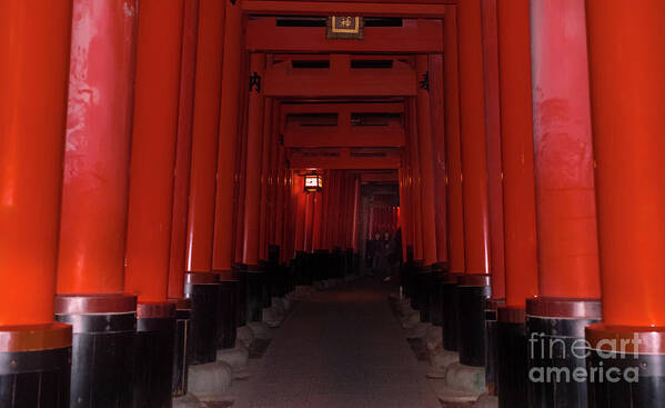Columns Art Print featuring the photograph Fushimi Inari Taisha, Kyoto Japan 3 by Perry Rodriguez