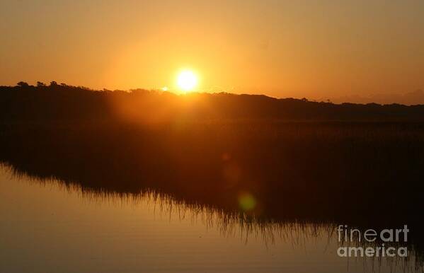 Glow Art Print featuring the photograph Gold Morning by Nadine Rippelmeyer