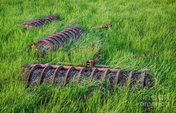 Old Art Print featuring the photograph Golden Verdant and Rusted by Royce Howland