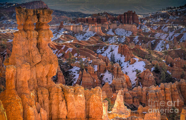 Bryce Art Print featuring the photograph Good Morning Bryce by Jennifer Magallon