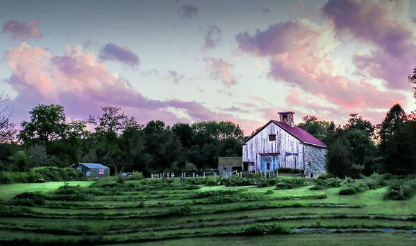 Landscape Art Print featuring the photograph Green and Magenta Farm Sunset by Betty Denise