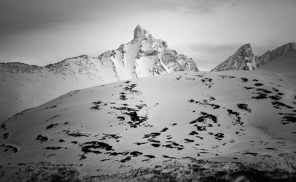 Landscape Art Print featuring the photograph Hamperokken Peak near Tromso Norway by Adam Rainoff