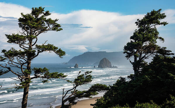Cannon Beach Art Print featuring the photograph Haystack Views by Darren White