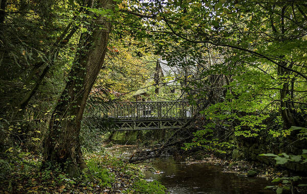 Season Art Print featuring the photograph Hidden Bridge at Offas Dyke by Spikey Mouse Photography