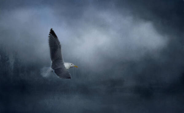 Seagull Art Print featuring the photograph High Flying Gull by Marilyn Wilson