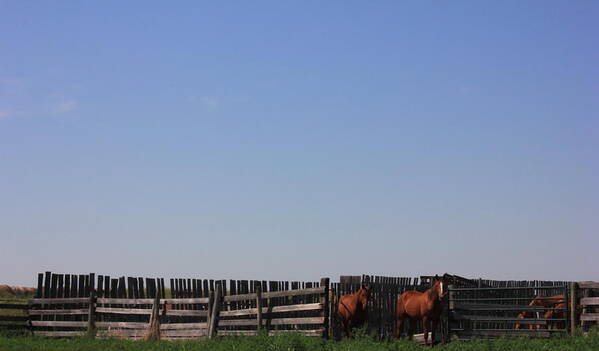 Horses Art Print featuring the photograph Horses - corrals - and Alberta prairie sky by Jim Sauchyn