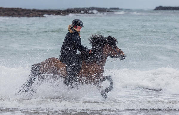 Photography Art Print featuring the photograph Icelandic Horse And Rider by Panoramic Images