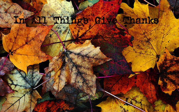 Fall Colors Art Print featuring the photograph In All Things Give Thanks by Joanne Coyle