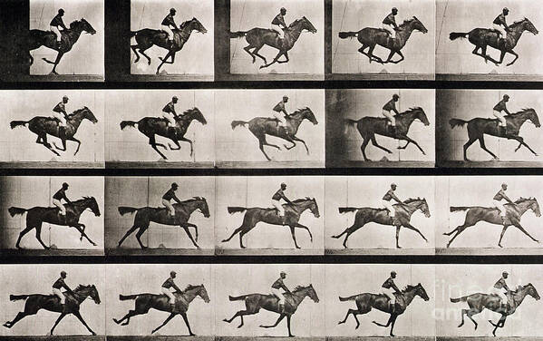 Muybridge Art Print featuring the photograph Jockey on a galloping horse by Eadweard Muybridge