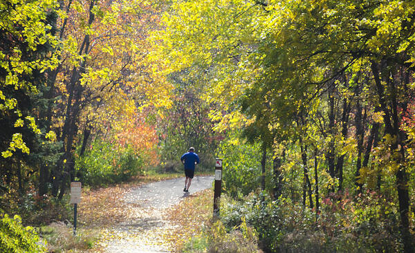 Digital Art Print featuring the photograph Jogger on Nature Trail in Autumn by Lynn Hansen