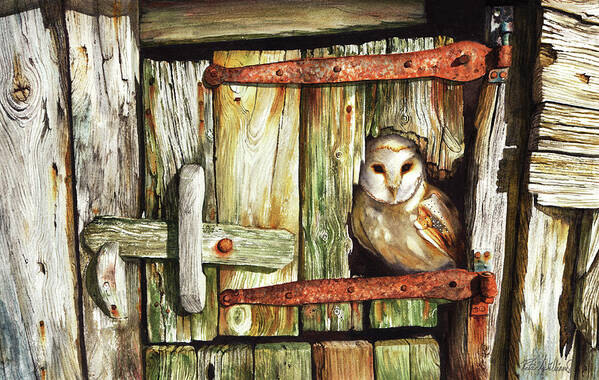 Barn Owl Art Print featuring the painting Last Light by Peter Williams