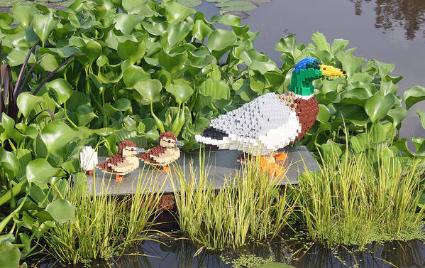 Ducks Art Print featuring the photograph Lego Duck Garden Display by Ellen Tully